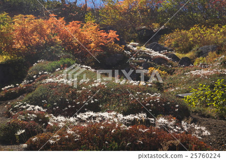 A colored mountain trail A colored mountain trail 25760224