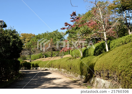 公園的綠色 公園的綠色 25760306