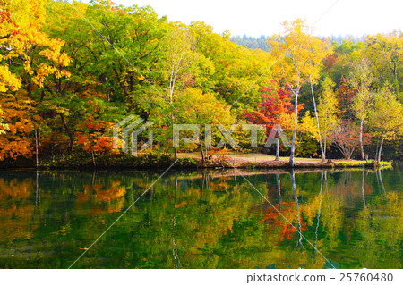 Tori Numa Park 02 25760480