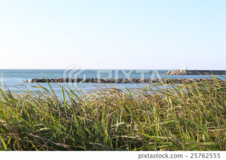 草和海1 草和海1 25762555