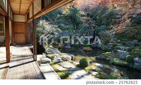 Kyoto Maple Leaf Kyoto Maple Leaf 25762625