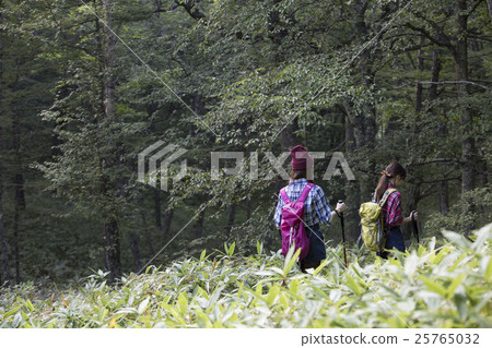 Woman trekking Woman trekking 25765032