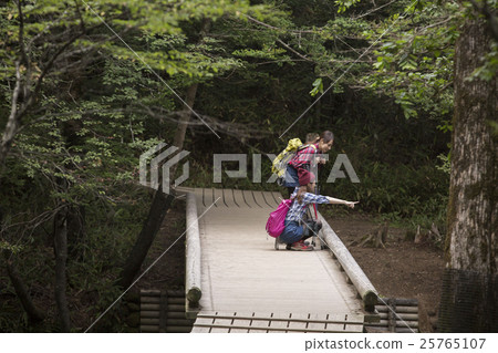 Woman trekking 25765107