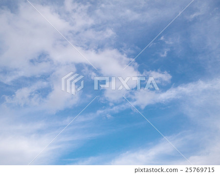 蜘蛛(十月) 蜘蛛(十月) 25769715