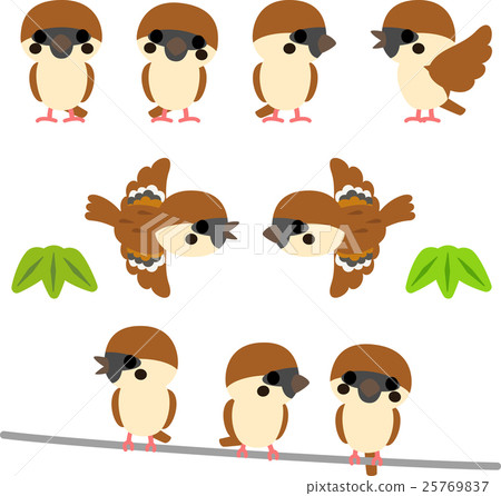 Cute sparrow illustration set 25769837