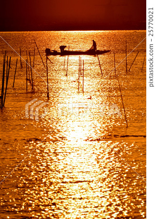 Morning of Seiryuma Morning of Seiryuma 25770021