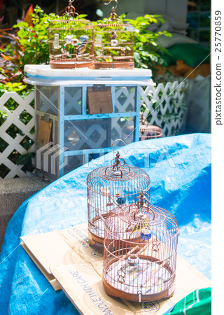 Bird for sale in Yuen Po Street bird garden Bird for sale in Yuen Po Street bird garden 25770859