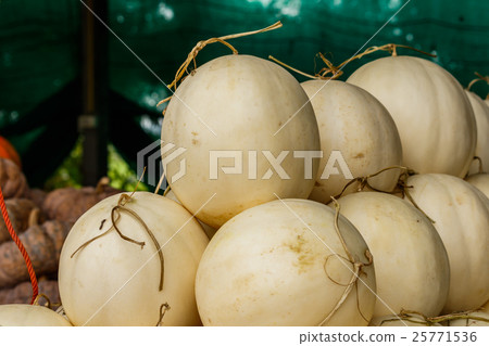 Fresh organic cantaloupe melons Fresh organic cantaloupe melons 25771536