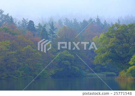 Ogata Tameike秋季葉子 Ogata Tameike秋季葉子 25771548