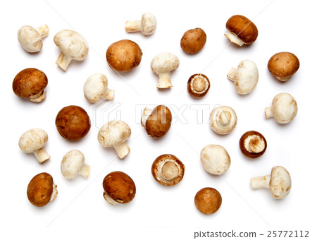 champignon mushroom isolated on white champignon mushroom isolated on white 25772112