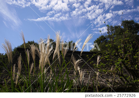Scales of clouds and wilting 25772926