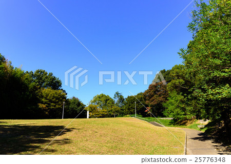 Autumn leaves and blue sky at the Senri Chuo Park 25776348