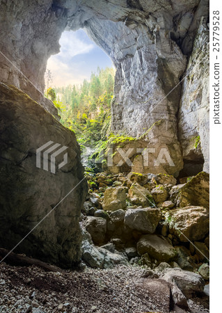 Cetatile cave sculpted by river in mountains 25779528