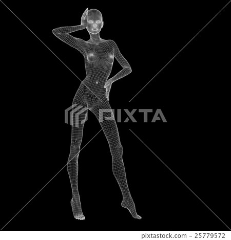 女性身體線框perming3DCG插圖素材 25779572