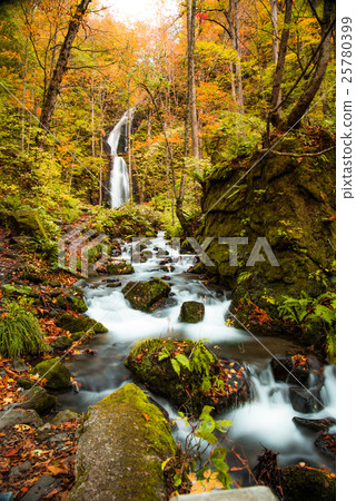 Oirase小河Yunii瀑布的秋葉 Oirase小河Yunii瀑布的秋葉 25780399