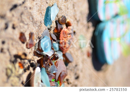 Seagrass (image) 25781550