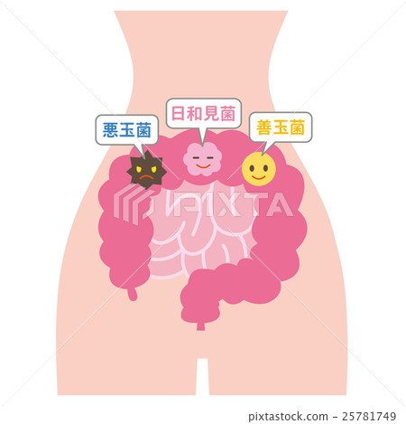 Intestinal bacteria Intestinal bacteria 25781749