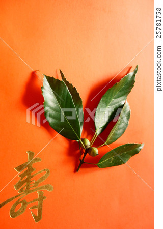 Acoria and acorn leaf juice 25781758