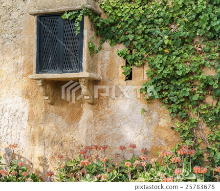 Vintage window on Old Stone Wall with ivy 25783678