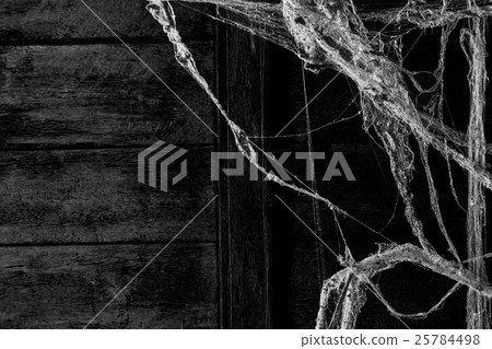 cobweb or spider web dust on wall background cobweb or spider web dust on wall background 25784498