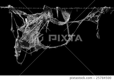 cobweb or spider web isolated on black background 25784500