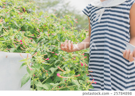 秘魯的奇蹟 紫茉莉 女生 25784898