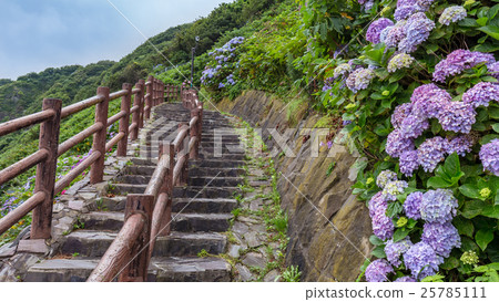 Stairway National road Stairway National road 25785111