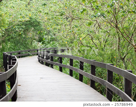 Wooden path by the sea Wooden path by the sea 25786949