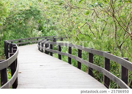 Wooden path by the sea 25786950