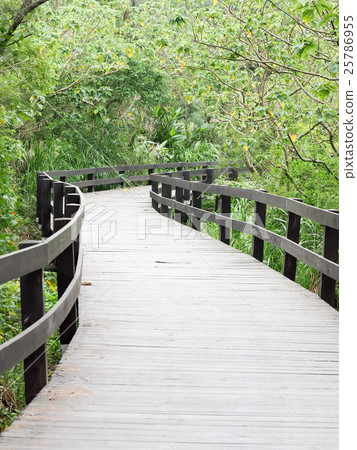Wooden path by the sea Wooden path by the sea 25786955