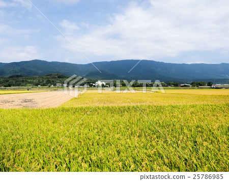 豐收的季節 豐收的季節 25786985