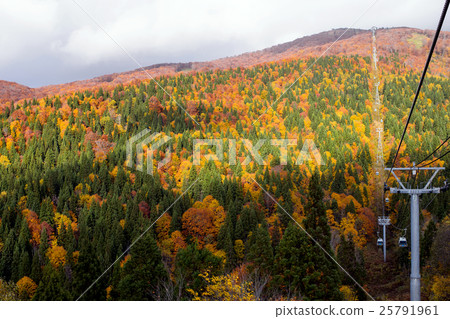 Autumn in Moriyoshiyama Akita 25791961