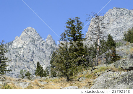 93254 Grand Teton National Park 93254 Grand Teton National Park 25792148