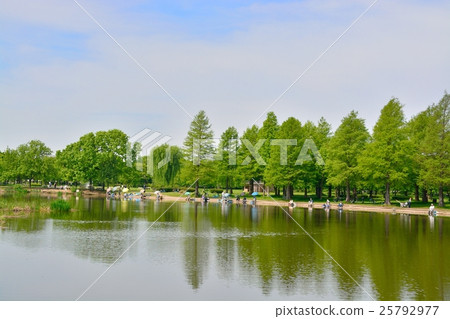 新鮮的綠色Treed公園 新鮮的綠色Treed公園 25792977