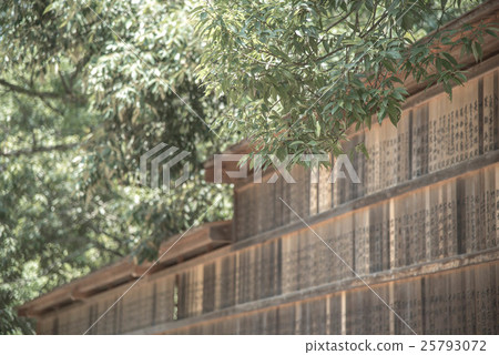 Kasuga Taisha 25793072