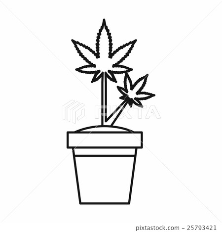 Marijuana plant in pot icon, outline style Marijuana plant in pot icon, outline style 25793421