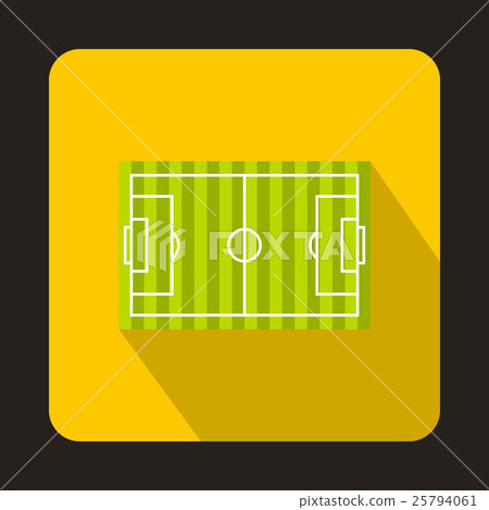 Football field icon, flat style 25794061