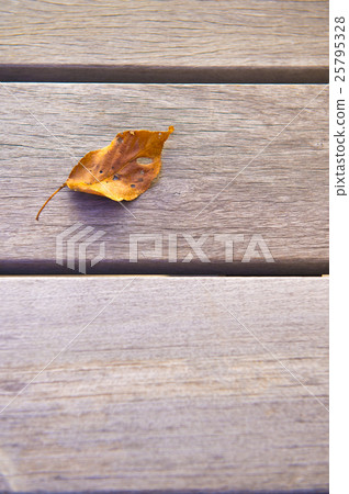Terrace floor and fallen leaves Terrace floor and fallen leaves 25795328