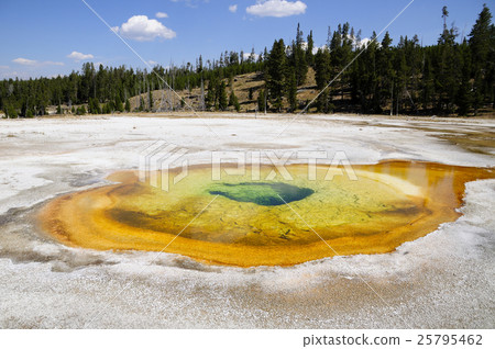 93910 Yellowstone National Park 93910 Yellowstone National Park 25795462