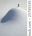 下雪的物體 25795595