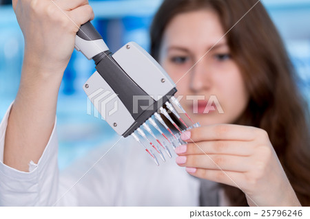 Woman technician with multipipette in genetic laboratory Woman technician with multipipette in genetic laboratory 25796246