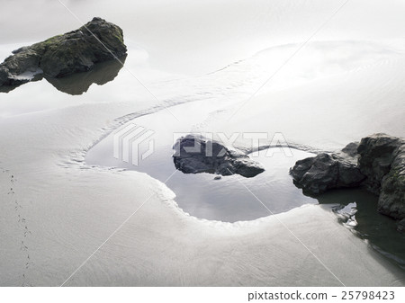 Tidal pool 25798423