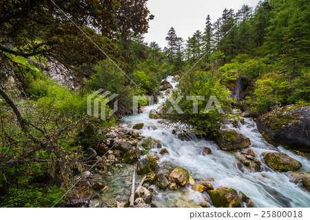 Waterfall and moss cover on stone in jungle 25800018