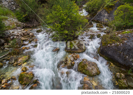 Waterfall and moss cover on stone in jungle 25800020