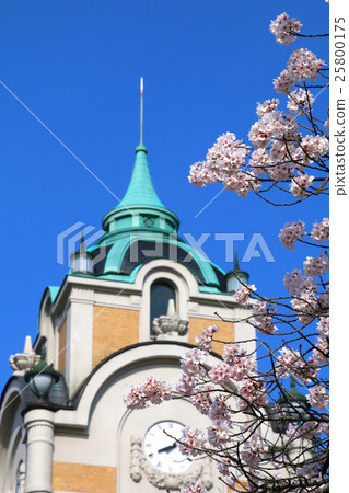 Sakura and Koriyama city public hall 25800175