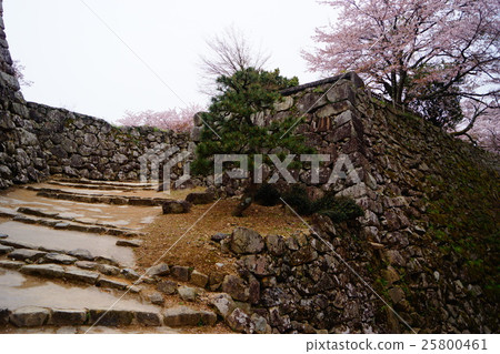 Stone steps of Hikone castle Stone steps of Hikone castle 25800461
