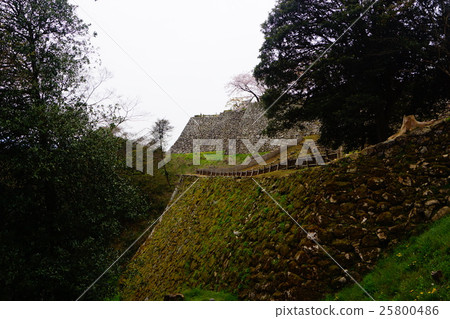 Hikone城堡的戰士歸來 25800486