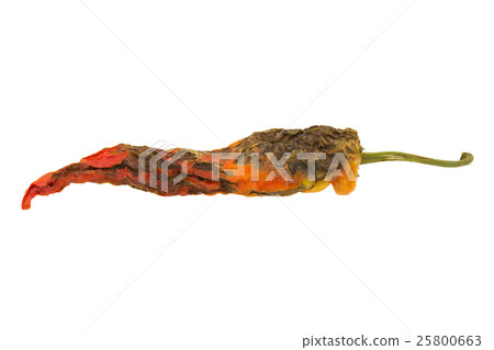 rotten pepper isolated on white background rotten pepper isolated on white background 25800663