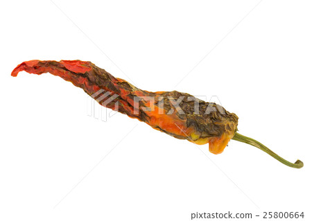 rotten pepper isolated on white background rotten pepper isolated on white background 25800664
