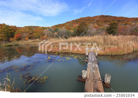 Chokai Takahara family travel village autumn leaves of the heartfelt pond Chokai Takahara family travel village autumn leaves of the heartfelt pond 25801034
